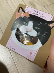可愛い猫チョコのプレゼントฅ•ω•ฅ