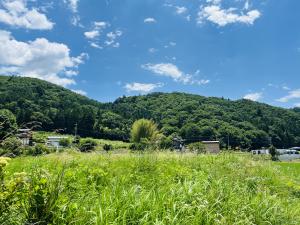 おはようございます☀︎