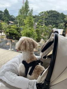 おはようございます☀︎