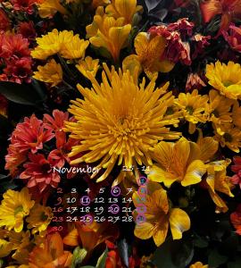 今月の出勤予定日