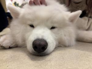 11/15(土)出勤です☺︎