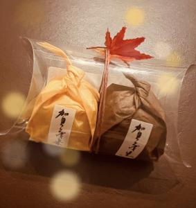 •*¨*•.¸¸♬︎