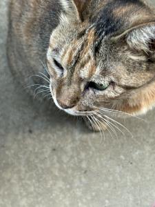 早起きしちゃいました