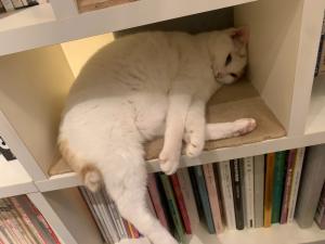 本日出勤です☺︎