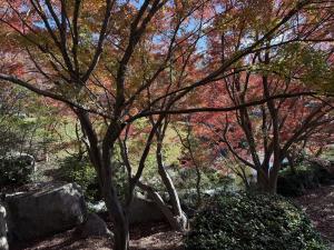 シフト入れ忘れました（т-т）