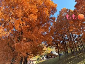 ムーミンの家らしい