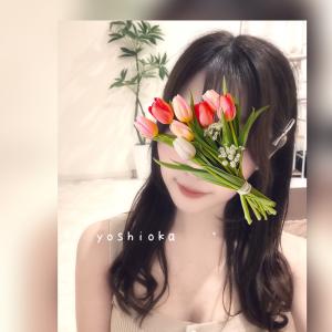 12月後半の予定です