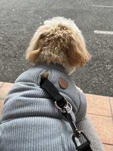 おはようございます☀︎