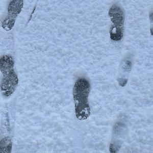 次回出勤1/9です