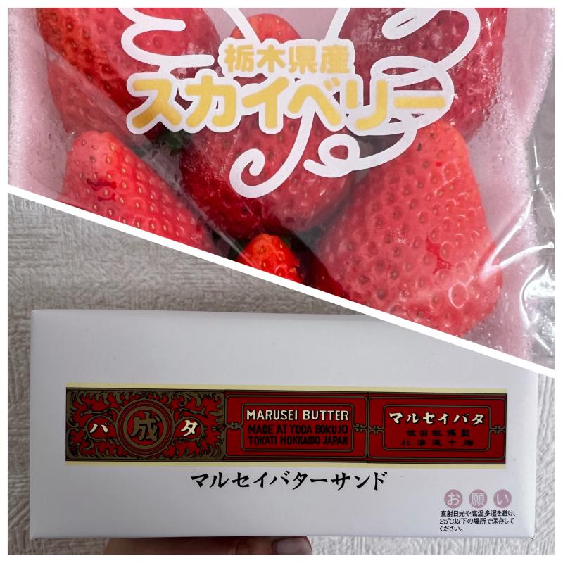 2026-01-15 10:34:16更新 吹石 あおいのブログ写真