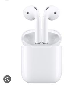 おはようございます！