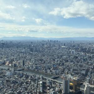 01/23  七海 るいのブログ写真