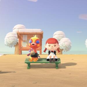 01/23  真鍋 あかりのブログ写真