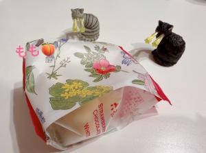 01/27  上条 もものブログ写真