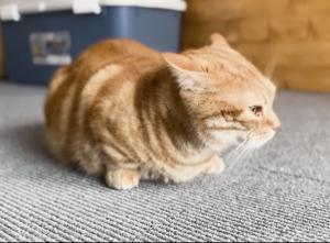 01/30  松村 かおりのブログ写真