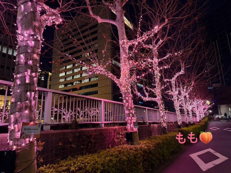 2026-02-04 15:49:10更新 上条 もものブログ写真