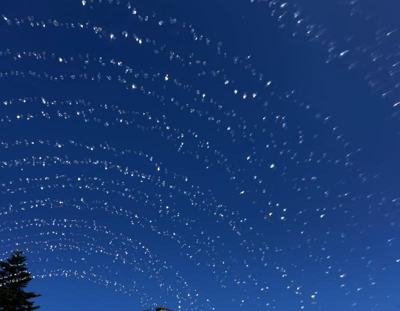 2026-02-07 09:58:59更新 吹石 あおいのブログ写真