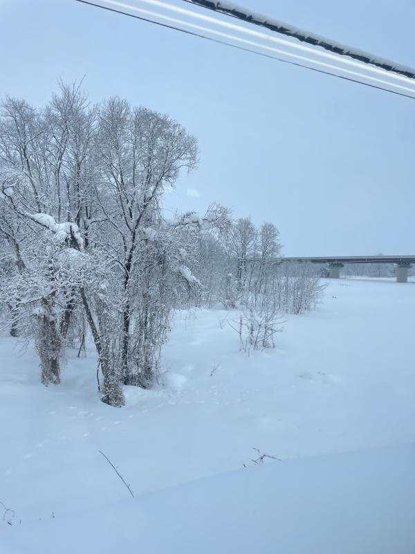 2026-02-09 01:44:47更新 音倉 しずくのブログ写真