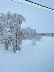 音倉 しずくの更新ブログ写真