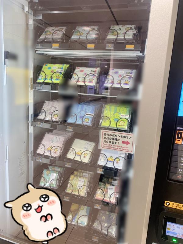 2026-02-11 17:34:29更新 霧島 れんのブログ写真