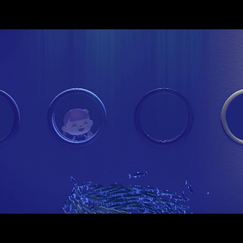 2026-02-14 17:34:31更新 真鍋 あかりのブログ写真