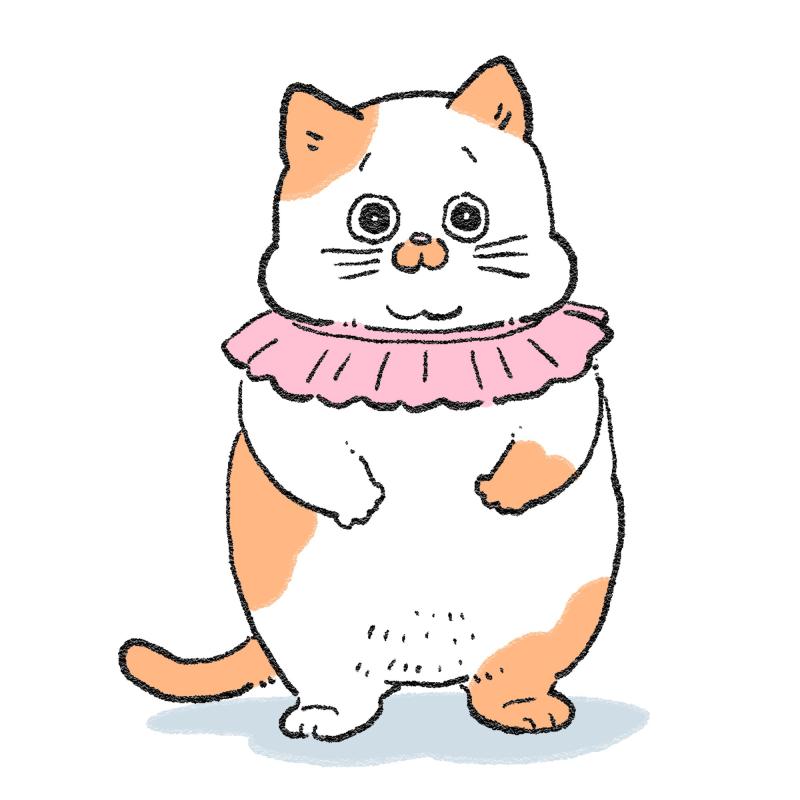 2026-02-09 11:33:06更新 霧島 れんのブログ写真