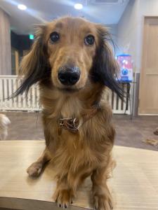 02/20  霧島 れんのブログ写真