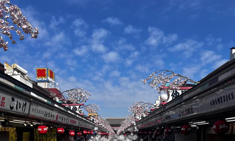 2026-02-21 10:08:52更新 吹石 あおいのブログ写真