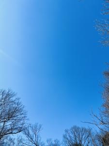 02/22  沙月 りなのブログ写真