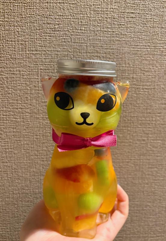 2026-02-26 10:31:01更新 吹石 あおいのブログ写真