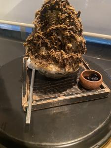 02/28  霧島 れんのブログ写真