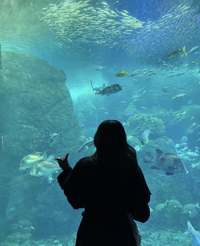 2026-03-06 17:37:51更新 音梨 くるみのブログ写真