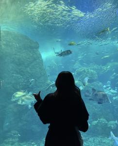 03/06  音梨 くるみのブログ写真