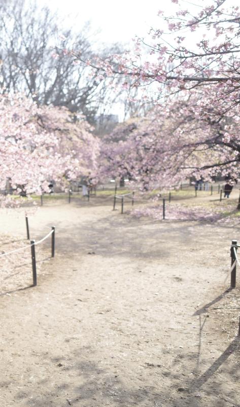 2026-03-07 16:18:02更新 音倉 しずくのブログ写真