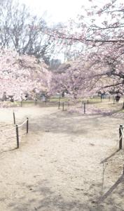 03/07  音倉 しずくのブログ写真