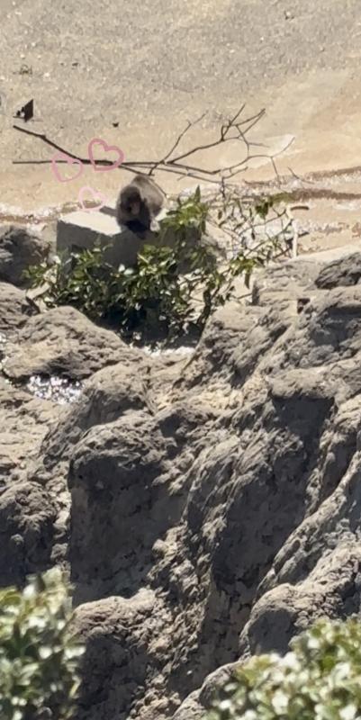 2026-03-16 19:50:56更新 杜野 ゆいかのブログ写真