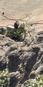 03/16  杜野 ゆいかのブログ写真