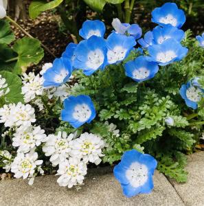 03/22  漆原 はなのブログ写真