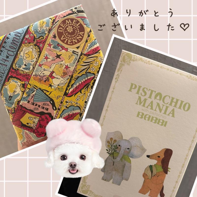 2026-03-25 10:05:08更新 吉岡 まりかのブログ写真