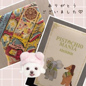 吉岡 まりかの更新ブログ写真