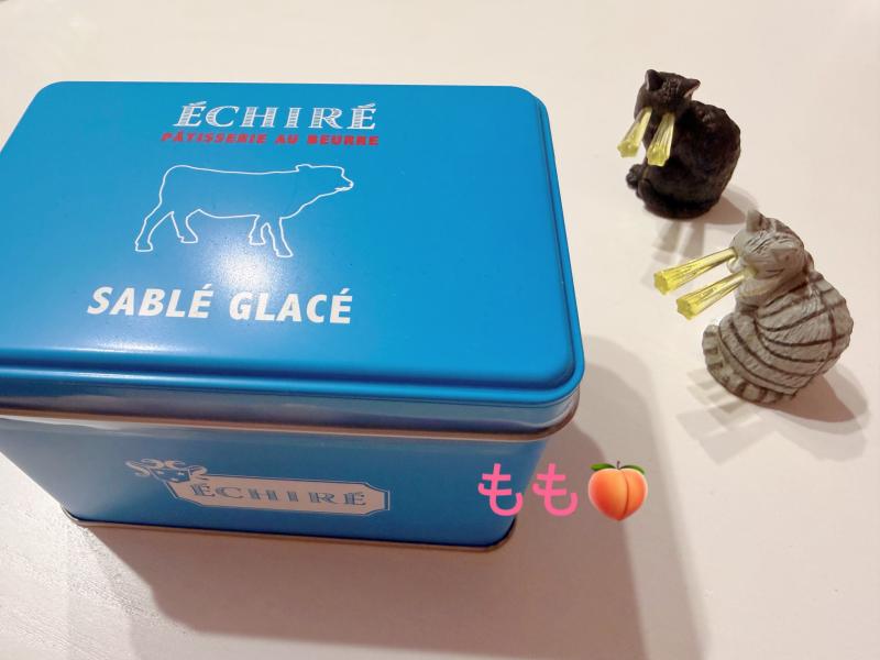 2026-03-25 16:37:31更新 上条 もものブログ写真