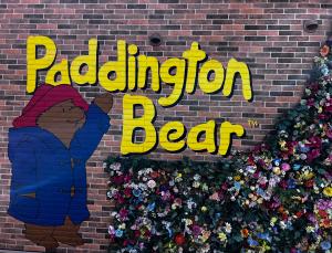 03/26  吹石 あおいのブログ写真