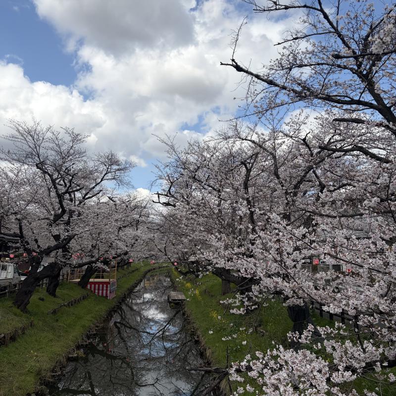 2026-03-27 11:26:39更新 七海 るいのブログ写真