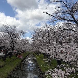 03/27  七海 るいのブログ写真