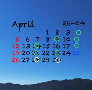 03/29  吹石 あおいのブログ写真