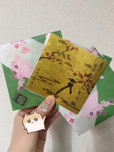 03/30  霧島 れんのブログ写真