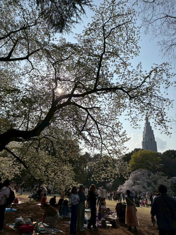 2026-03-31 00:47:48更新 音倉 しずくのブログ写真