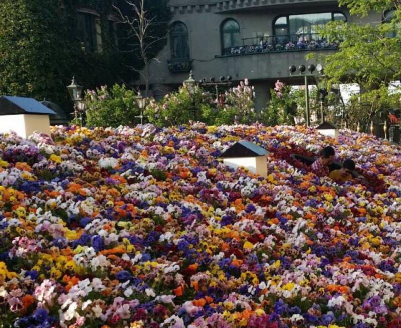 2026-03-31 10:25:23更新 吹石 あおいのブログ写真