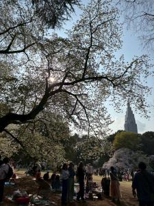 音倉 しずくの更新ブログ写真