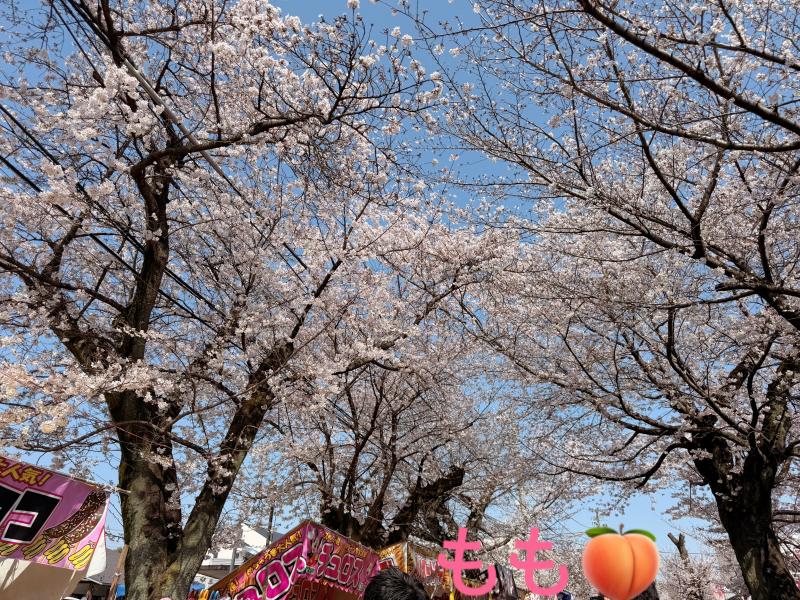 2026-04-02 12:21:06更新 上条 もものブログ写真